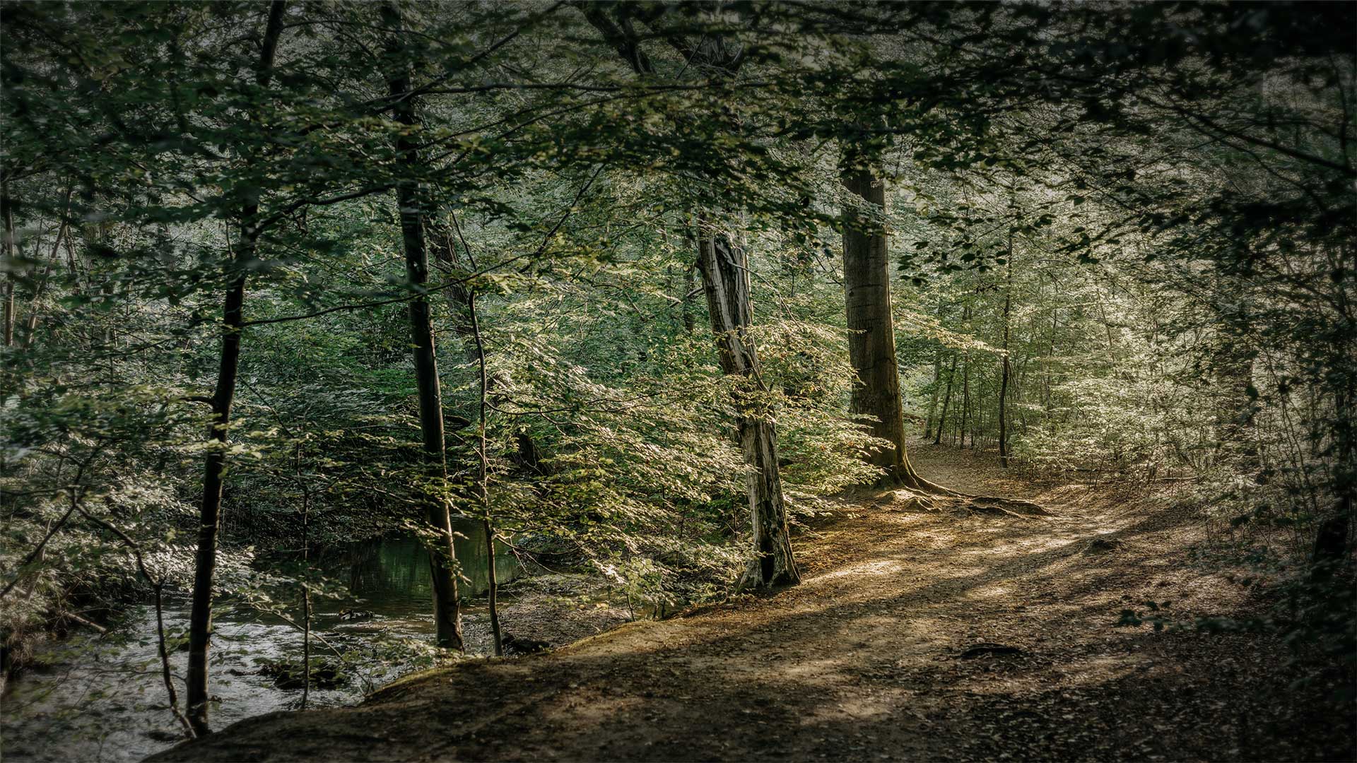 Natur